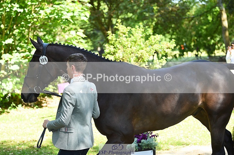 230524-151012-00105 - 309-PLOT_TWIST_B-Tom_Jackson-WEDTrotUp+DR