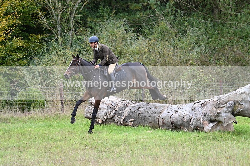 WJ7_3731 - Camera 1 Line 1