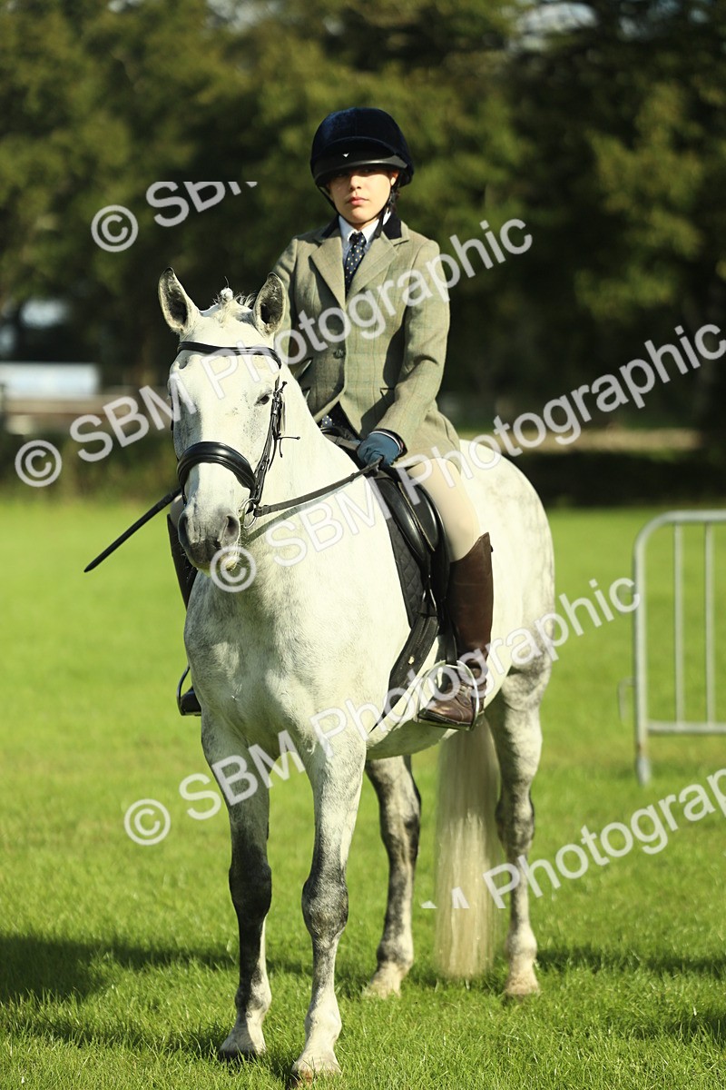 SBM_49831 - S32 - Novice & Newcomers Working Hunter