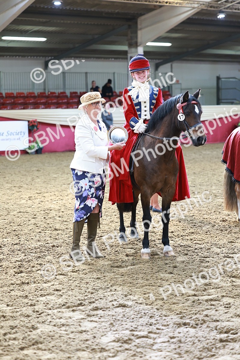SBM_13491 - Class 104 - Ridden Costume - Astride Junior