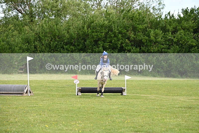 WJ6_2667 - Class 2 40cm