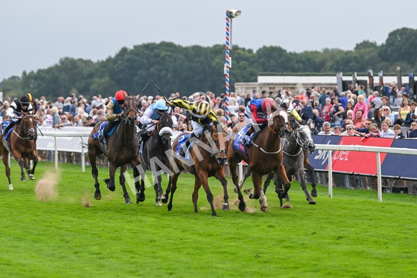 220825-Race 1-Asgards Captain-6618 - Race 1 1.50pm Sky Bet Handicap