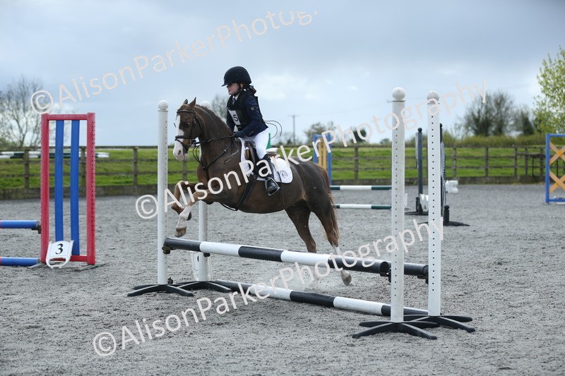 20260412-1743 - Show Jumping