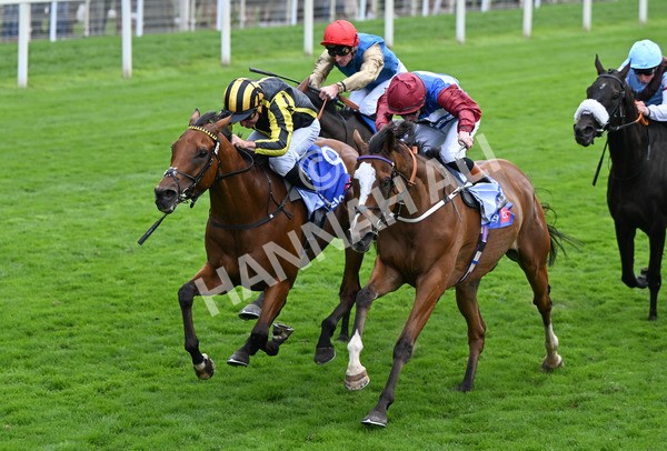 220825-010 Asgards Captain - Race 1 1.50pm Sky Bet Handicap