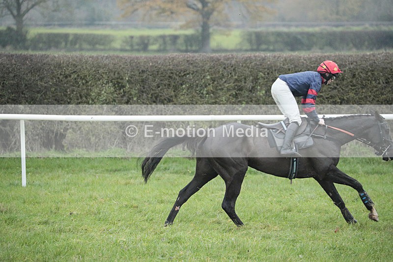 PtP 041222 0228 - Wheatland  Hunt PtP Chaddesley Corbett, Worcs 04/12/22