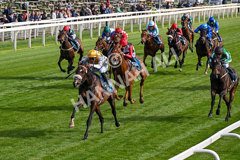 140526-Race 7-Arc Ole Ole-0410 - Race 7 5.15pm Frank Whittle Partnership Handicap