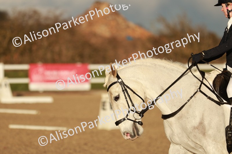 20260314-6395 - CT7 - Elementary 2