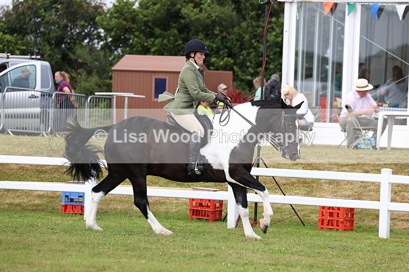 3E7A0341 - Class 6: Rising Star Maxi Cobs