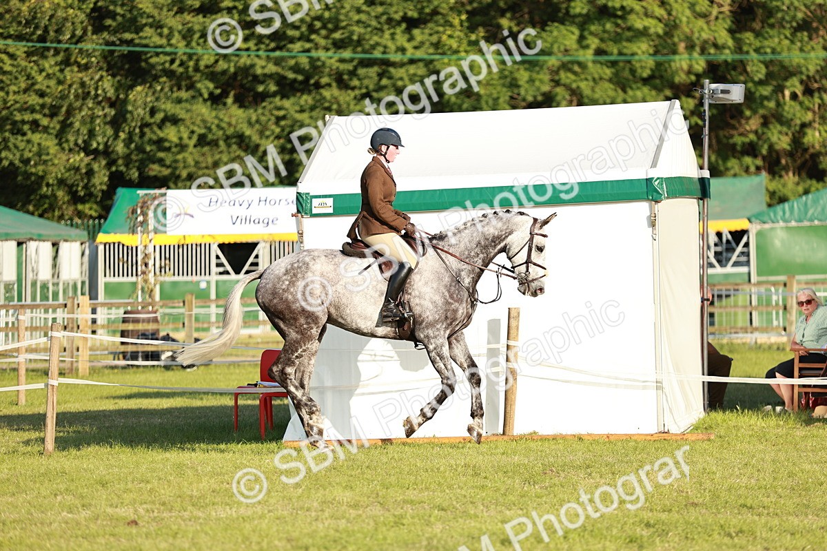 SBM_20452 - Class 117-119 - Sport Horse Working Hunter