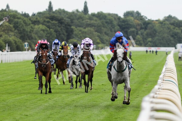 yr23072022r5-22 - Race 5 4.25pm Sky Bet UK's No1 Betting App Stakes