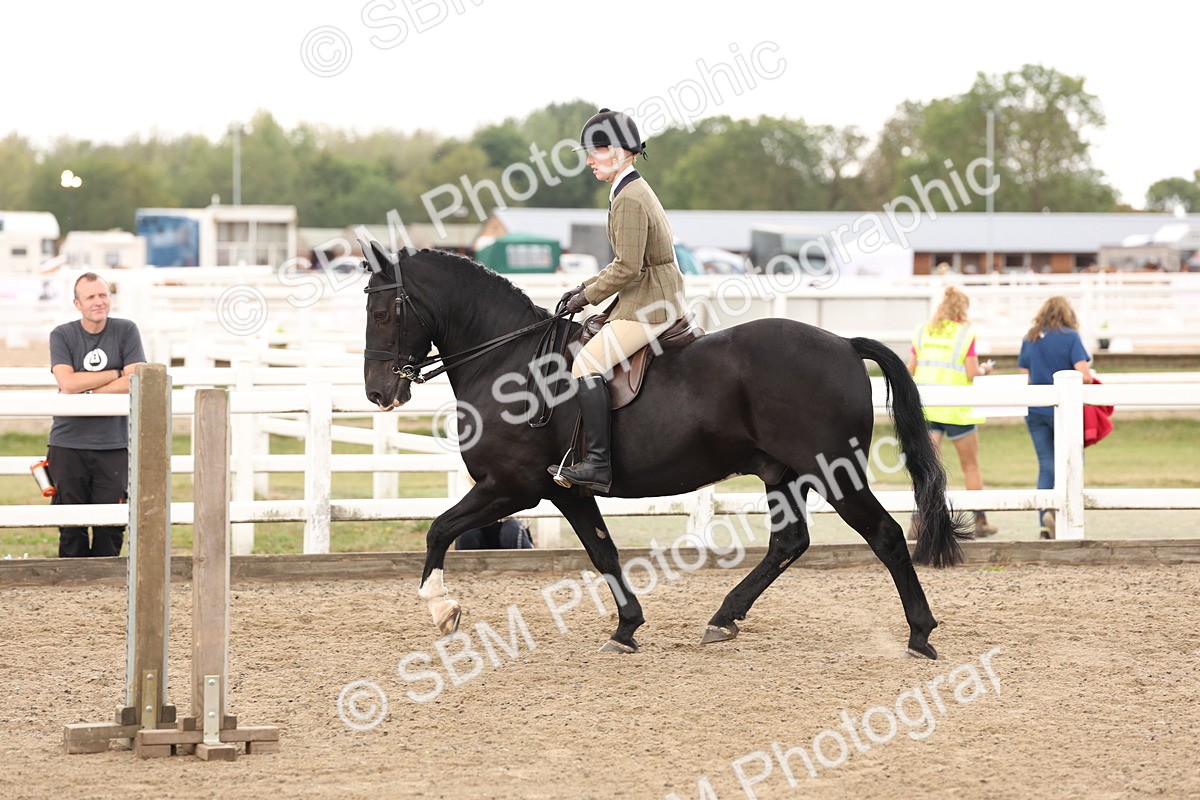 SBM_02908 - Class 53 - Ridden Competition Horse/Pony