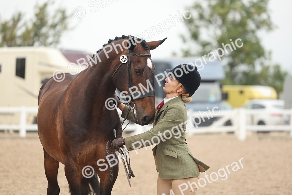 SBM_19880 - Class 318 - IH Part Bred Horse-Pony