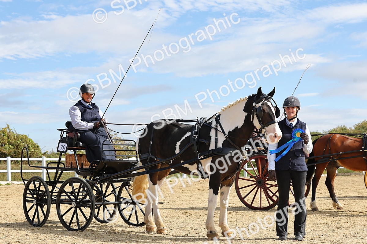 SBM_000948 - Class 8 - Novice Horse or Pony to any vehicle