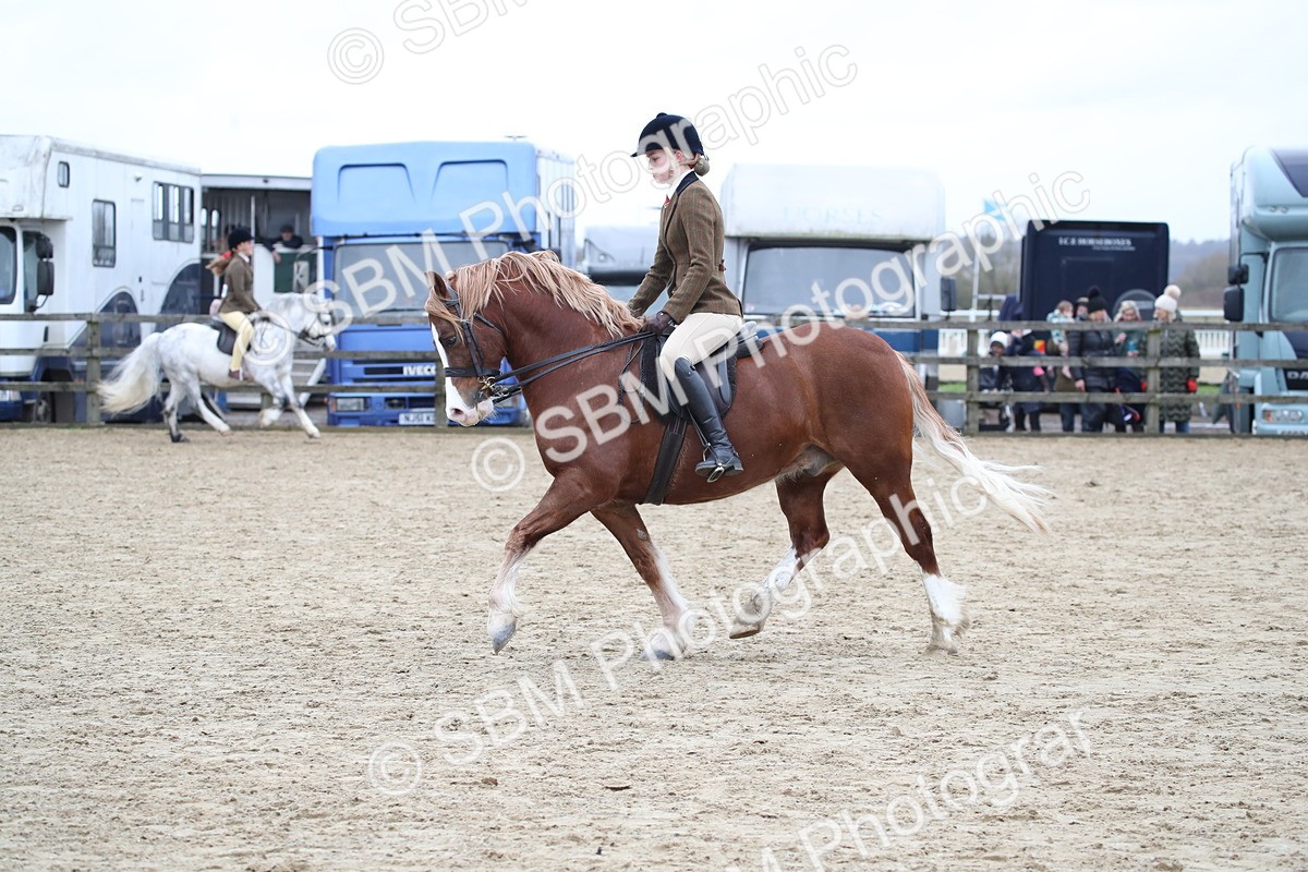 SBM_006368 - Class 10-13 - RIHS Small Large Breeds