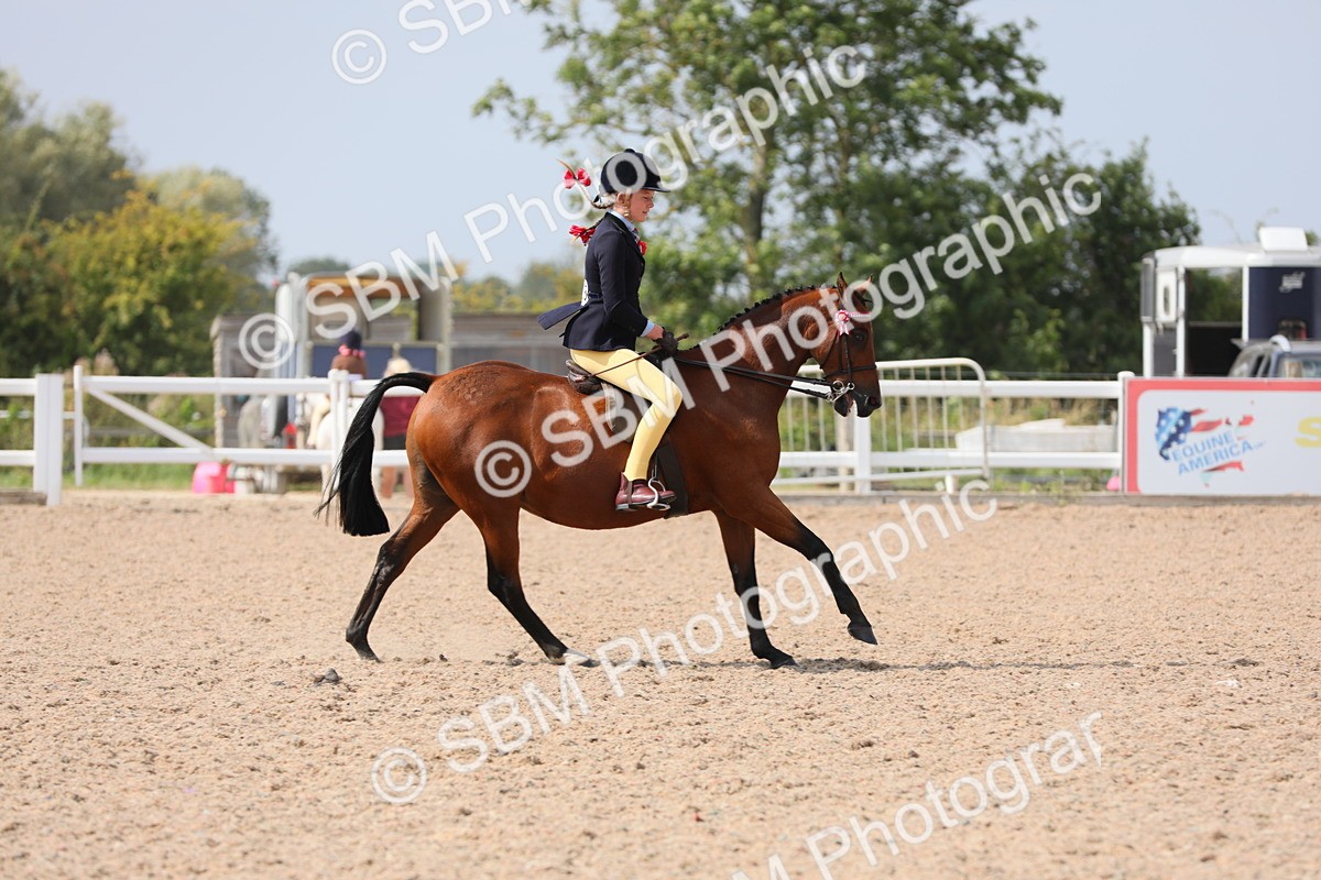 SBM_15588 - Class 311 Ridden Show Pony/ Show Hunter Pony