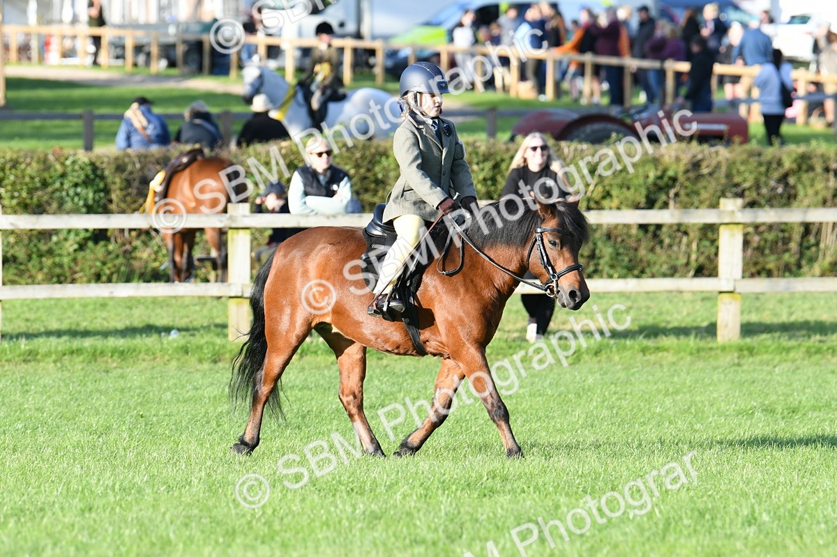 SBM_54105 - S23 - 1st Ridden Mountain & Moorland Pony