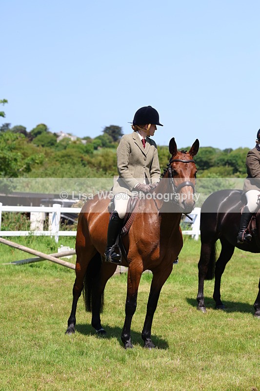 3E7A7340 - Class 30: Novice Working Hunter