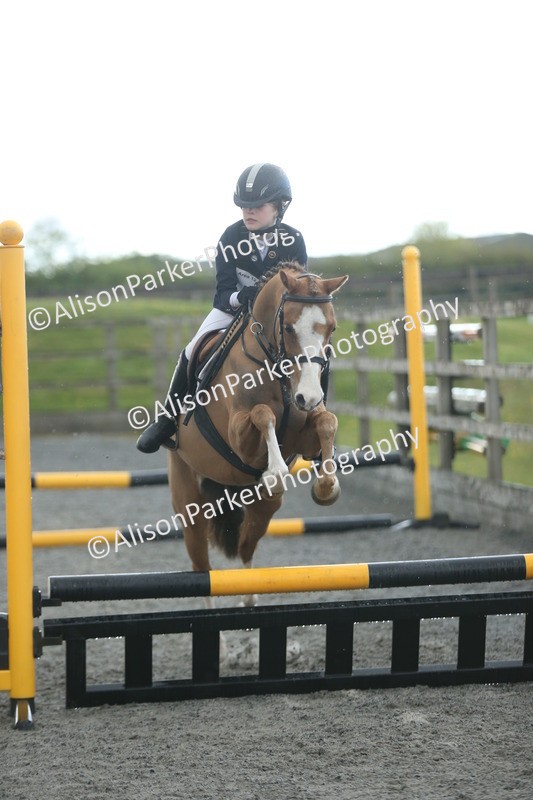 20260412-1919 - Show Jumping