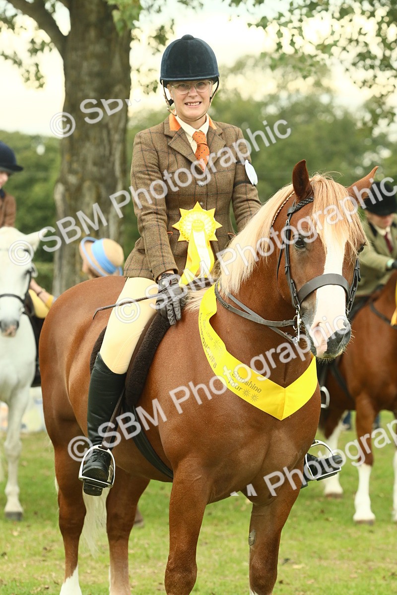 SBM_72301 - S60 - Mountain & Moorland Ridden Large Breeds