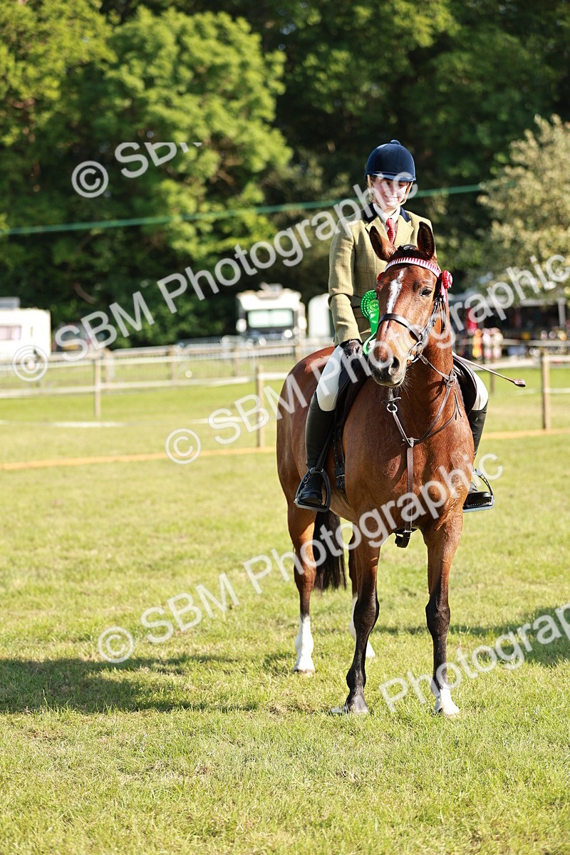 SBM_19333 - Class 115-116 - LIHS BSHA Rising Star Working Hunter & Show Horse