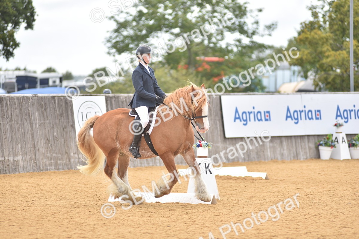 SBM_29613 - D16 -Small Tour Championship Novice 2