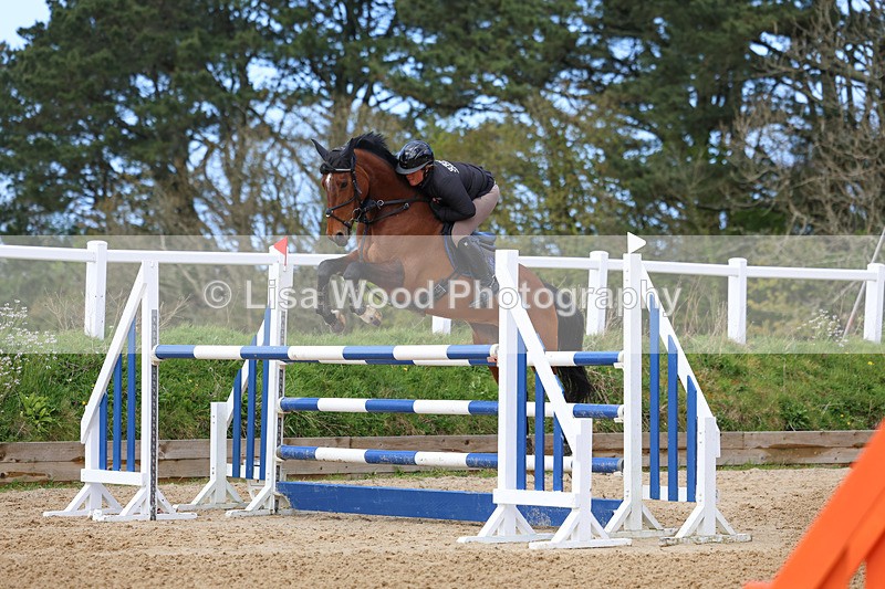3E7A2043 - Class 8: Senior Foxhunter/1.20 open