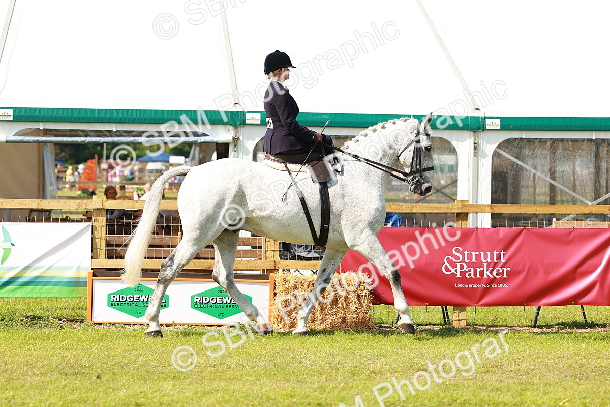SBM_13116 - Class 70-71 - Side Saddle