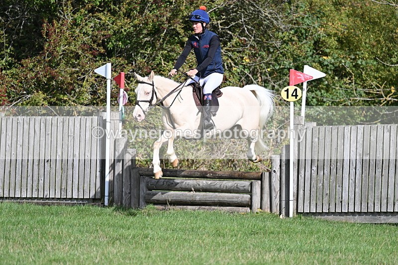 WJ7_8486 - 60cm Pairs