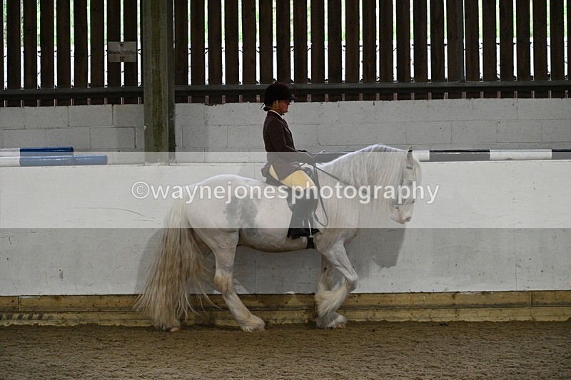 WJ7_3760 - Class 17 Ridden Cob