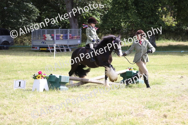 20260614-0614 - Class 20 - Beginners Working Hunter Pony