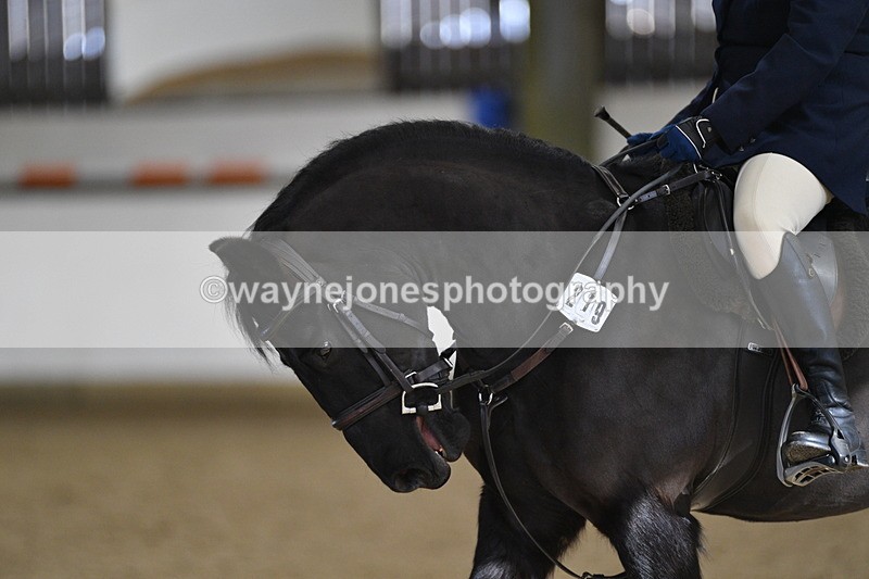 WJ5_7175 - Class 2 Intro Test 2