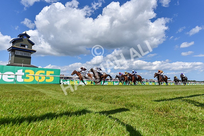 080624-Race 2-Perfect Part-8085 - Race 2