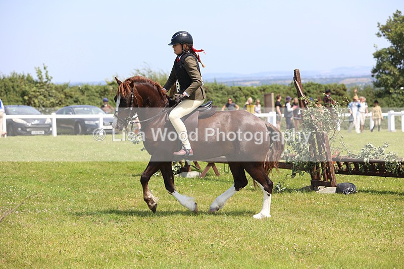 JPP_2407 - Class 21: Working Hunter 60cm