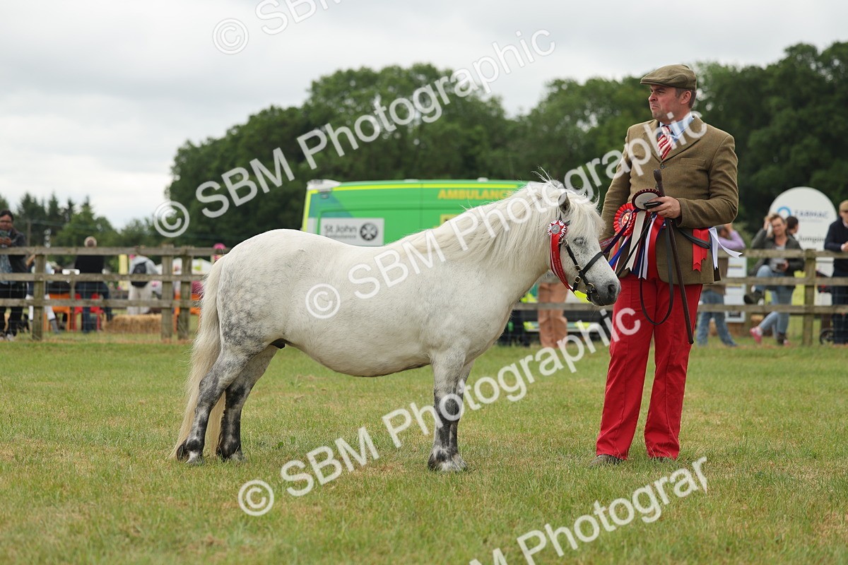 SBM_05097 - Class 50-57 - M&M Welsh Pony In Hand