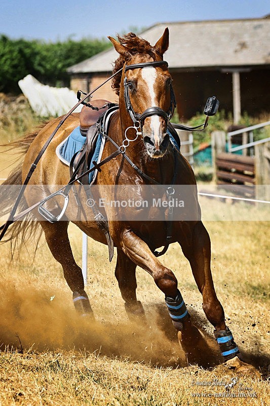 BEXC 150726 1057a - Equestrian