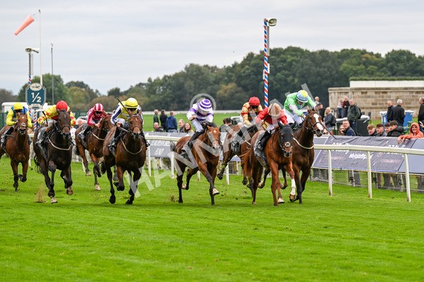 101025-Race 2-Astrazar-0124 - Race 2 British EBF £100,000 Final at York