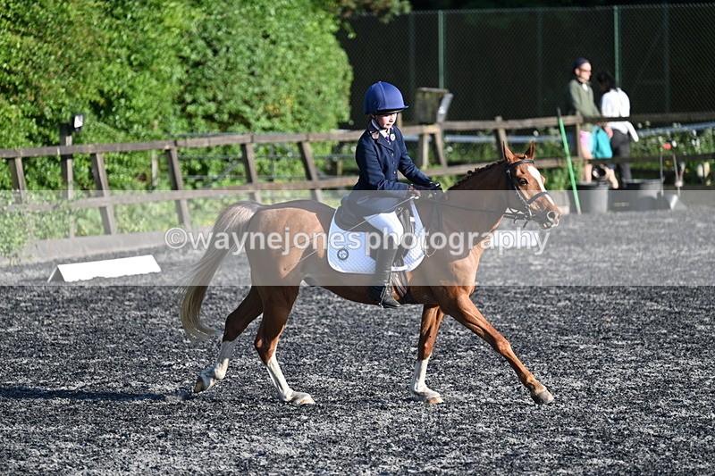 WJ7_4851 - Class 2 Prelim 1