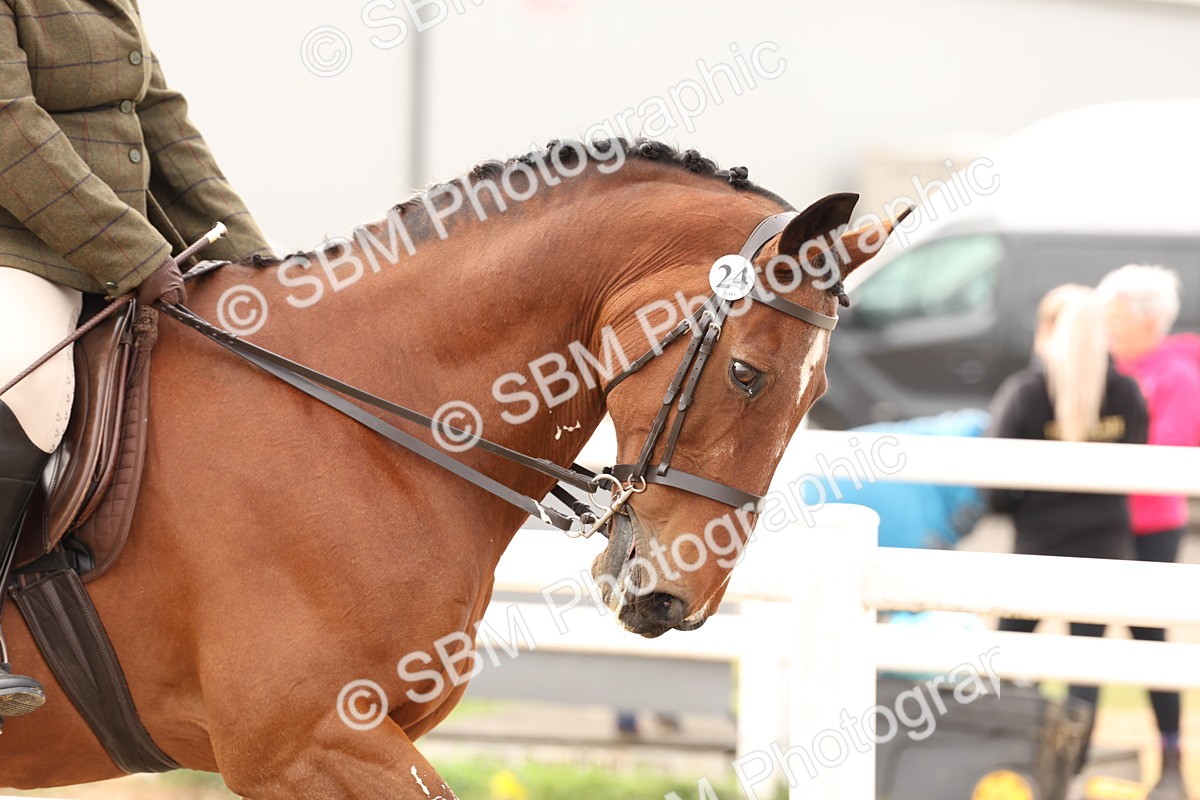 SBM_01609 - Class 52 - Ridden Veteran