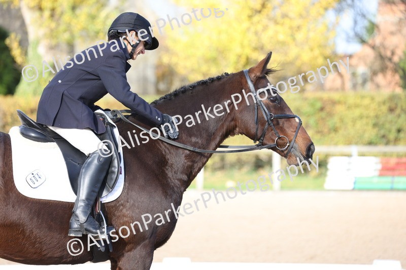 20251101-0645 - Class 5 - Novice 3