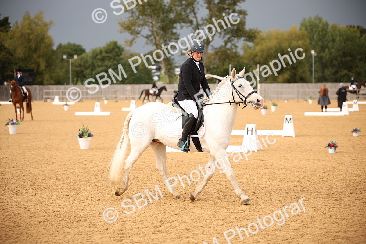 SBM_12305 - D3 Small  Tour Championship Intro A