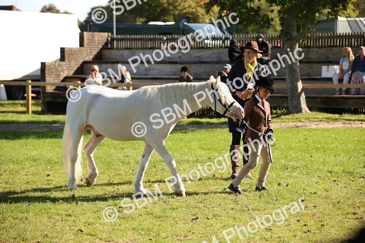 SBM_36636 - S10 - Best In Hand Horse & Pony