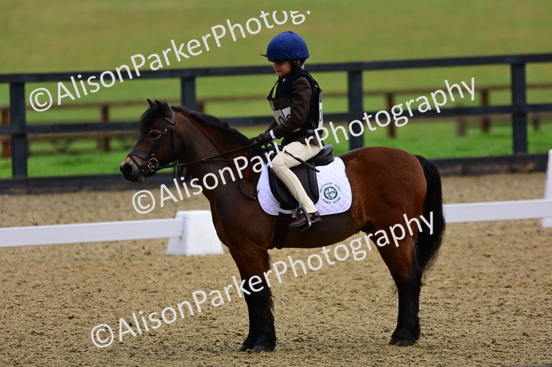 20260125-0511 - Class 9b - Walk Trot Unassisted