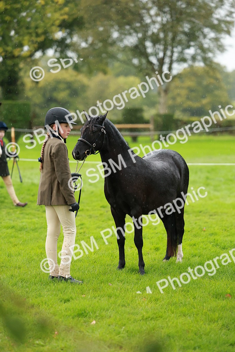 SBM_34884 - S10 - Best In Hand Horse & Pony