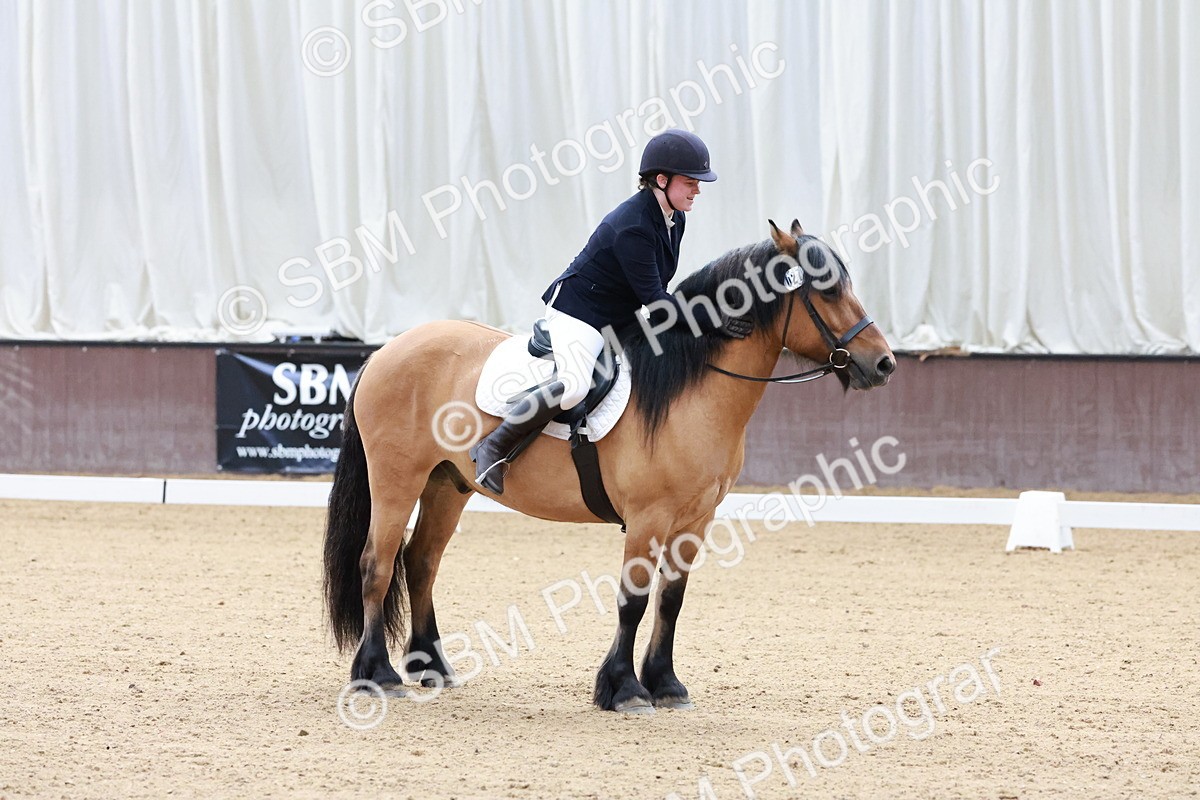 SBM_003213 - Intro 2