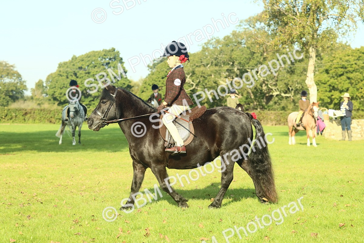 SBM_59200 - S38 - Starters Ridden Showing