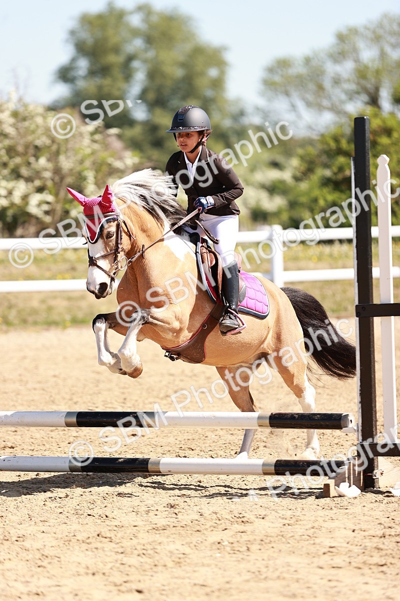 SBM_006996 - Class 2 - 50cm