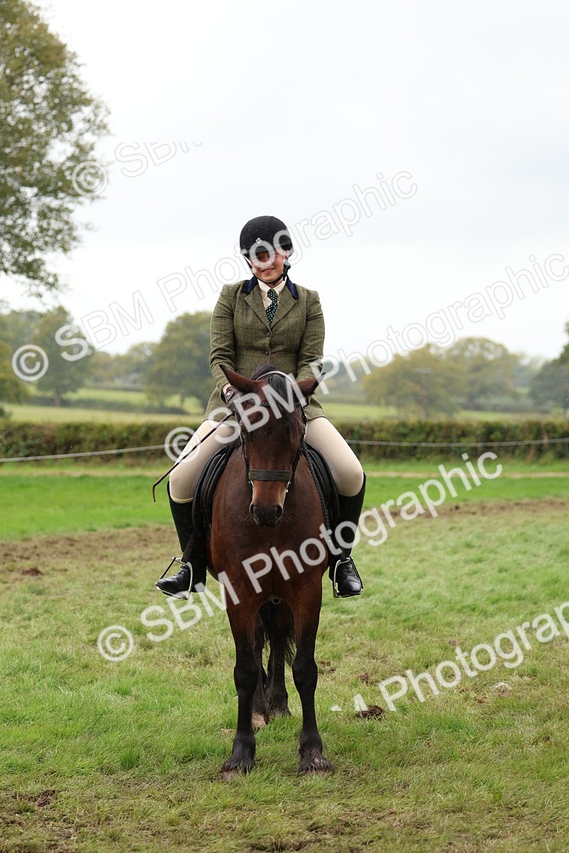 SBM_69604 - S62 - Mountain & Moorland Ridden Large Breeds