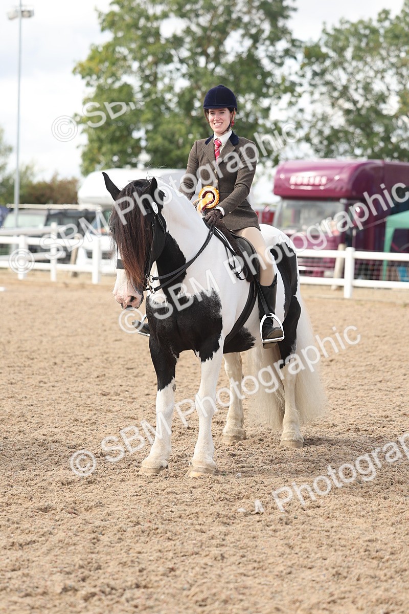 SBM_14851 - Class 308 - Ridden Coloured Horse