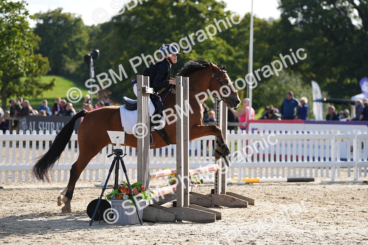 SBM_49311 - J8 - Junior Pony 65cm Championship