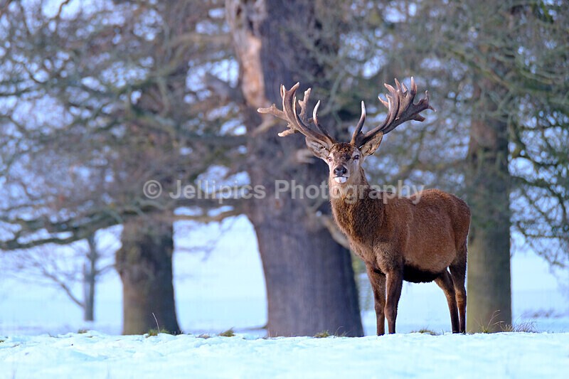 - Wildlife and Nature